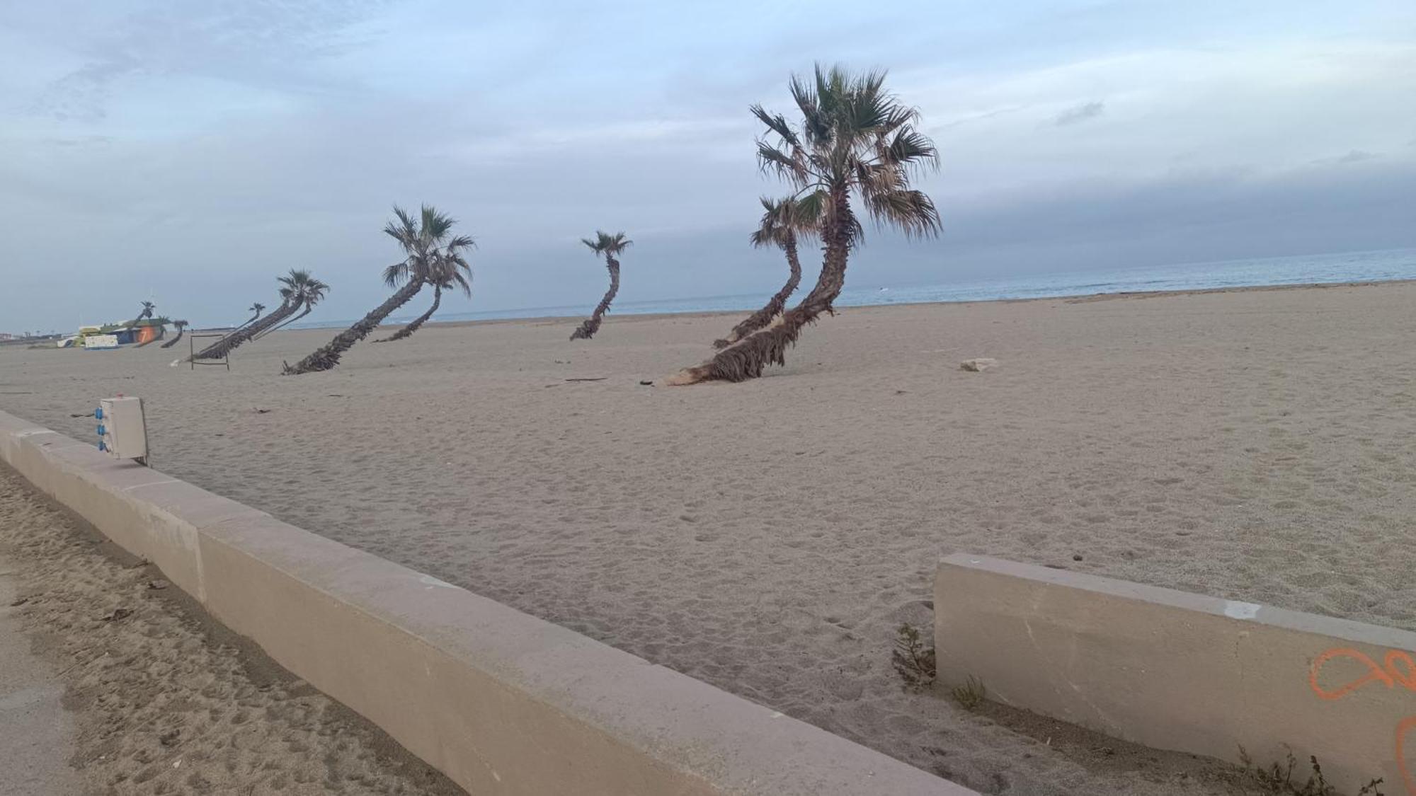 Les 2 Dauphins Villa Le Barcares Exterior photo